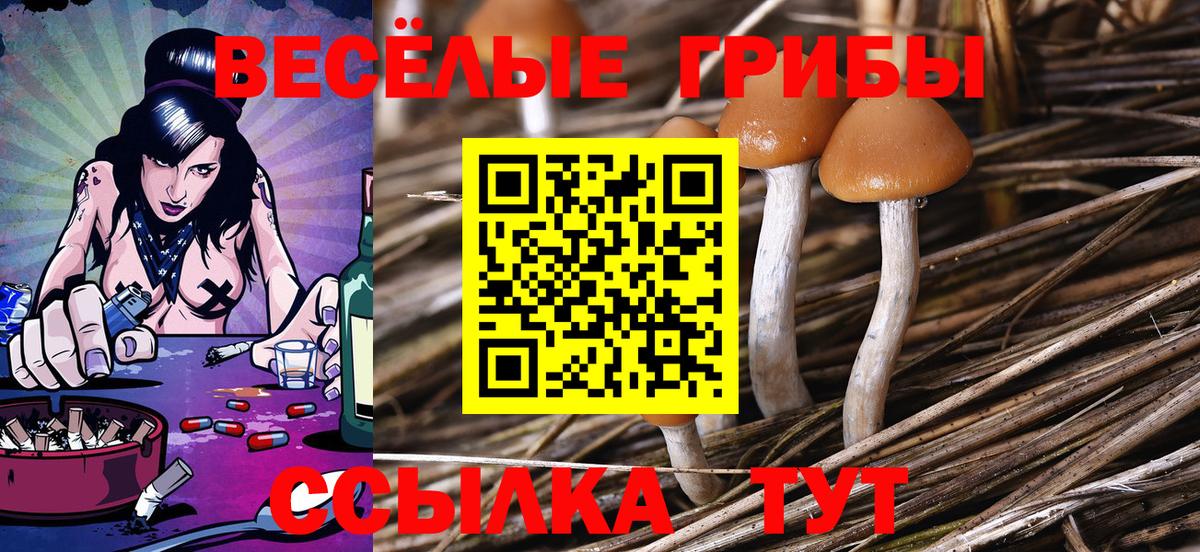 Галлюциногенные грибы Magic Shrooms Верхняя Пышма
