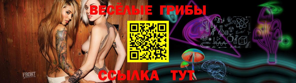 Верхняя Пышма  Галлюциногенные грибы Psilocybine cubensis  Вход с VPN 